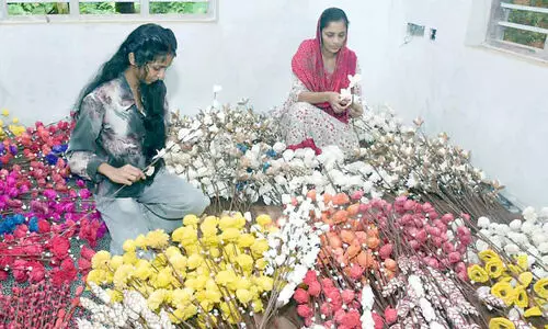 ഓ​ണ​ത്തി​ന് മ​ുമ്പേ പ്ര​കൃ​തി​യു​ൽ​പ​ന്ന​ങ്ങ​ളി​ല്‍ പൂ​ക്കാ​ലം തീ​ര്‍ത്ത് ഷാ​ഹി​ന