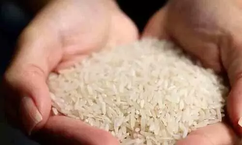 സ്കൂൾ കുട്ടികൾക്ക് ഓണത്തിന് നാലു കിലോ അരി; മന്ത്രി