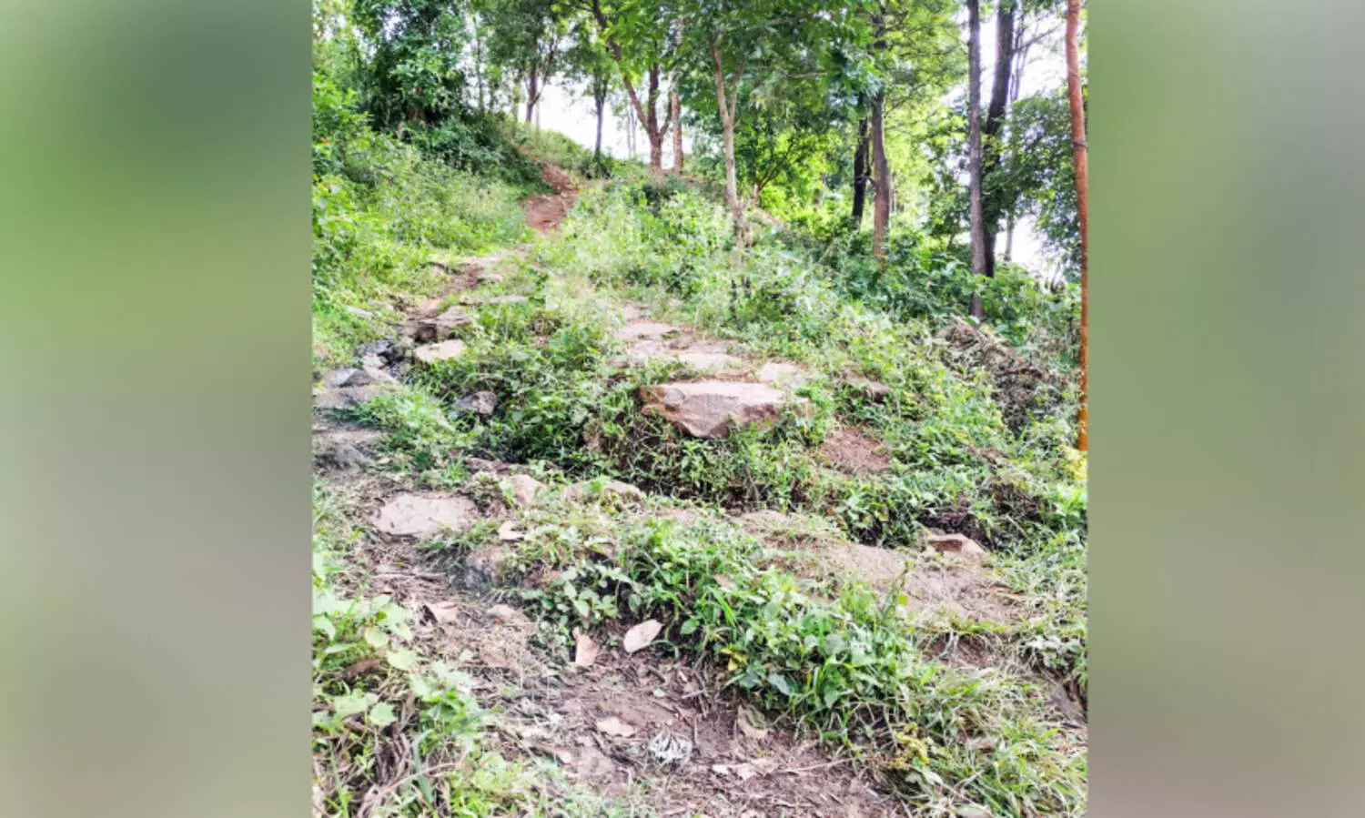 റോഡില്ലെങ്കിൽ വോട്ടില്ല; അവഗണനയിൽ മനംമടുത്ത് കരിമുട്ടി ഉന്നതിയിലെ കുടുംബങ്ങൾ