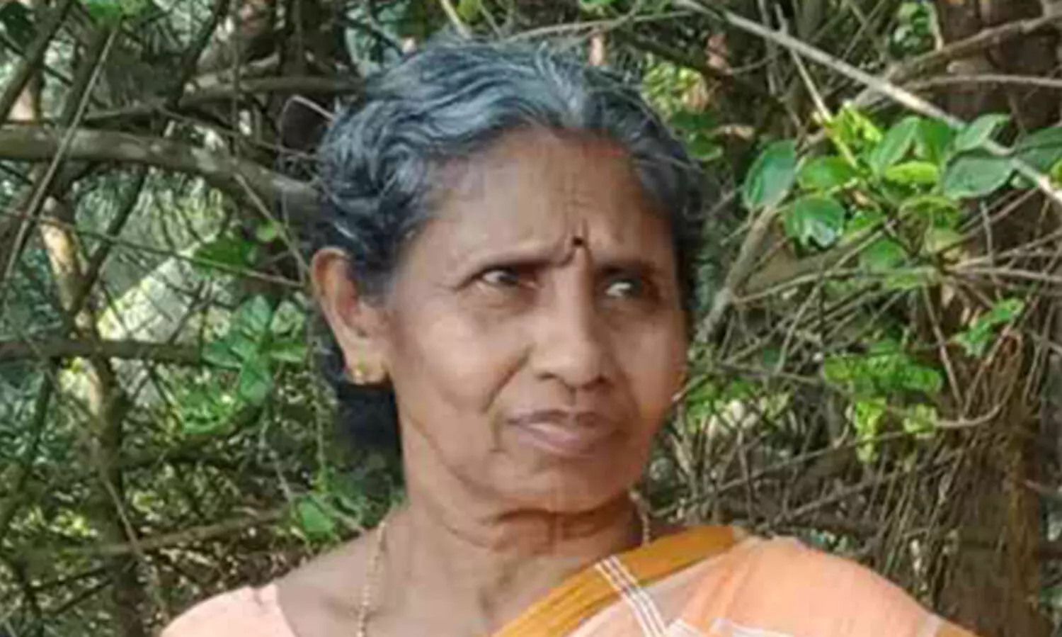 വനപാലകരുടെ വെടികൊണ്ട കാട്ടാന വിരണ്ടോടുന്നതിനിടെ വയോധികയെ ചവിട്ടി​ക്കൊന്നു