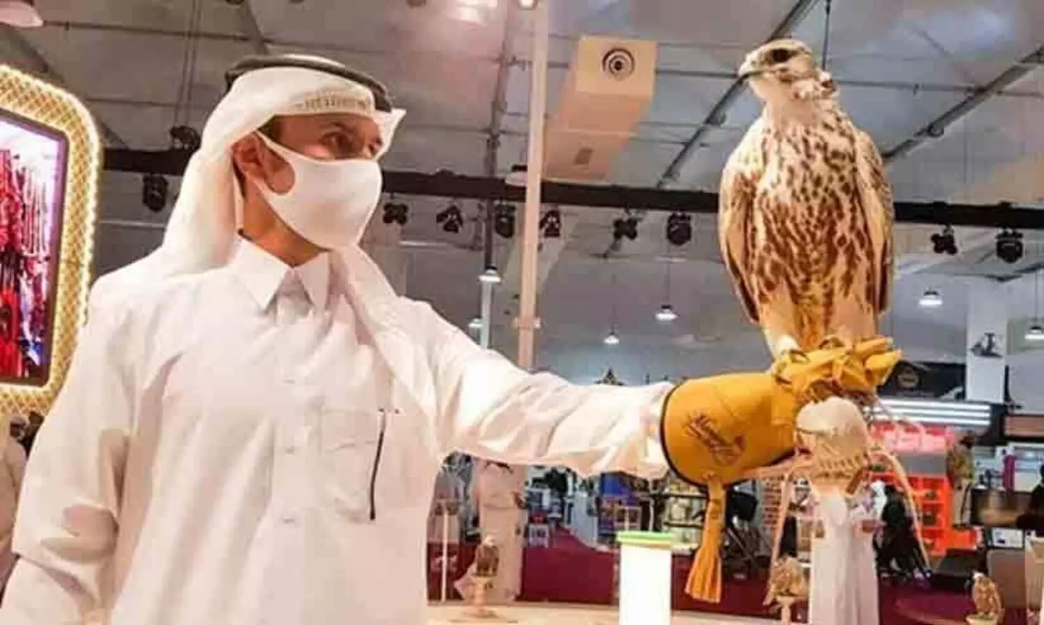 സുഹൈൽ ഫാൽക്കൺ മേള സെപ്റ്റംബർ 10 മുതൽ