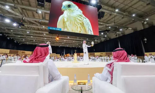 saudi falcon auction