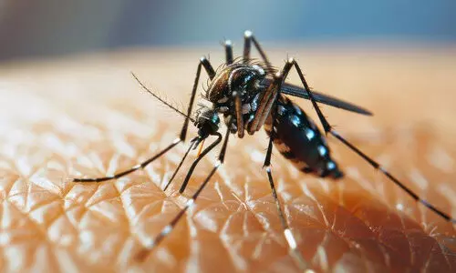 ഈ വർഷം ഡെങ്കിപ്പനി ബാധിച്ചത് 4181 പേർക്ക്; മൂന്ന് മരണം