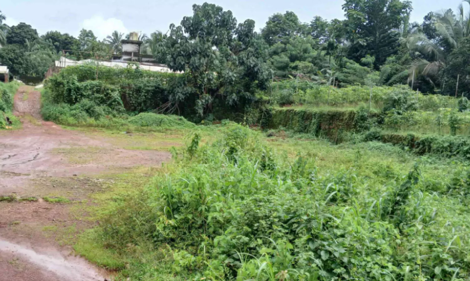 ഭൂ​മി ല​ഭി​ച്ചി​ട്ട് 15 വ​ർ​ഷം; പ​ര​പ്പ ബ​സ് സ്റ്റാ​ൻ​ഡ് എ​ന്നുവ​രും?