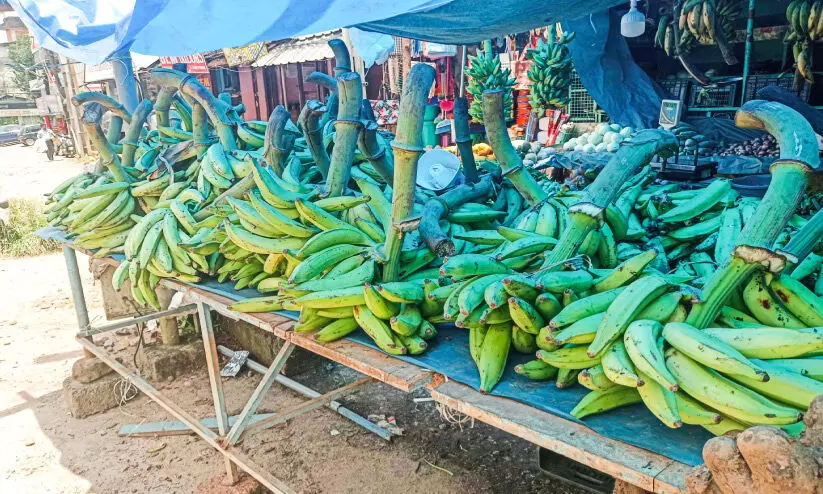 wayanad banana