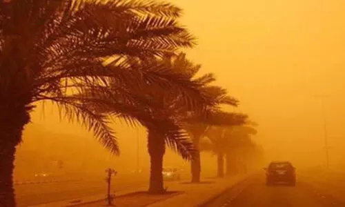 മ​ക്ക പ്ര​വി​ശ്യ​യി​ൽ അ​തി​ശ​ക്ത​മാ​യ പൊ​ടി​ക്കാ​റ്റ്