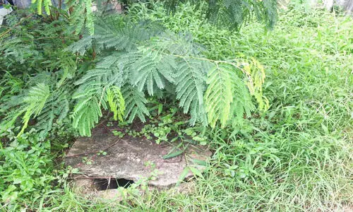 റവന്യൂ ടവറിലെ പൈപ്പിൽ ഒഴുകുന്നത് മലിനജലം റവന്യൂ ടവറിലെ പൈപ്പിൽ ഒഴുകുന്നത് മലിനജലം