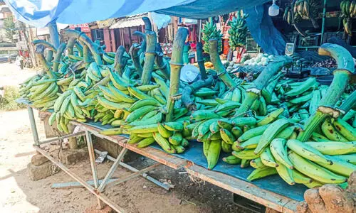 wayanad banana
