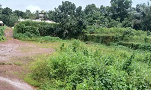 ഭൂമി ലഭിച്ചിട്ട് 15 വർഷം; പരപ്പ ബസ് സ്റ്റാൻഡ് എന്നുവരും? ഭൂമി ലഭിച്ചിട്ട് 15 വർഷം; പരപ്പ ബസ് സ്റ്റാൻഡ് എന്നുവരും?