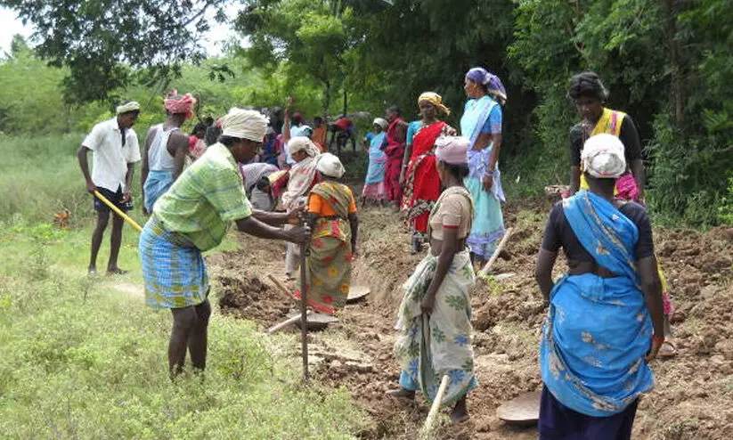 തൊ​​ണ്ട​​ർ​​നാ​​ട് തൊ​​ഴി​​ലു​​റ​​പ്പ് ഫ​​ണ്ട് ത​​ട്ടി​​പ്പ്; ഏ​​ഴ് വ​ാർ​​ഡു​​ക​​ളി​​ൽ അ​​ന്വേ​​ഷ​​ണം പൂ​​ർ​​ത്തി​​യാ​​യി