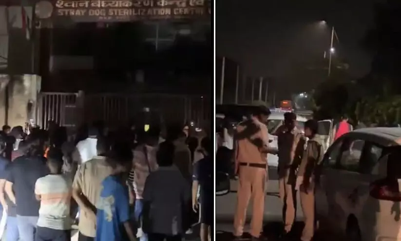 നായ്ക്കളെവെച്ച് പരീക്ഷണം, ദുർഗന്ധം: ഡൽഹിയിലെ രോഹിണി വന്ധ്യംകരണ കേന്ദ്രത്തിന് പുറത്ത് പ്രതിഷേധം