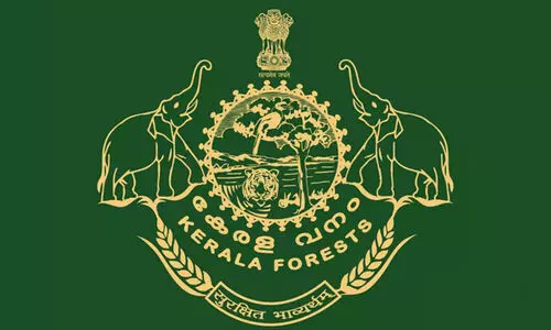 Forest Department