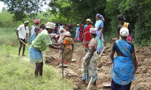 തൊ​​ണ്ട​​ർ​​നാ​​ട് തൊ​​ഴി​​ലു​​റ​​പ്പ് ഫ​​ണ്ട് ത​​ട്ടി​​പ്പ്; ഏ​​ഴ് വ​ാർ​​ഡു​​ക​​ളി​​ൽ അ​​ന്വേ​​ഷ​​ണം പൂ​​ർ​​ത്തി​​യാ​​യി