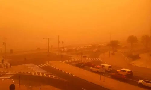 Dust wind in soudi arabia