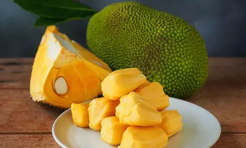 അതിർത്തിക്കപ്പുറം ചക്കക്ക് സുവർണകാലം