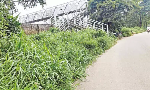 യാ​ത്ര​ക്കാ​രു​ടെ ശ്ര​ദ്ധ​ക്ക്; ഇ​വി​ടെ കാ​ത്തി​രി​ക്കു​ന്ന​ത് പാ​മ്പും പ​ഴു​താ​ര​യും