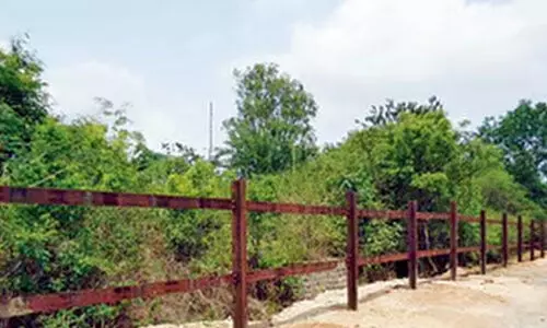 കരാറെടുക്കാൻ ആളില്ല; സമ്പൂർണ ഫെൻസിങ് പ്രവൃത്തി അവതാളത്തിൽ