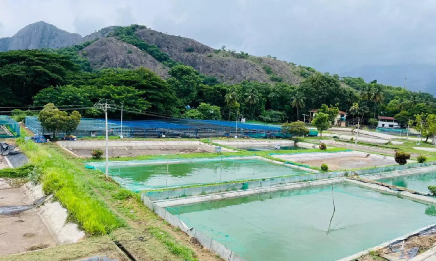 മത്സ്യകൃഷിയിൽ മാതൃകയായി പാലക്കാട്