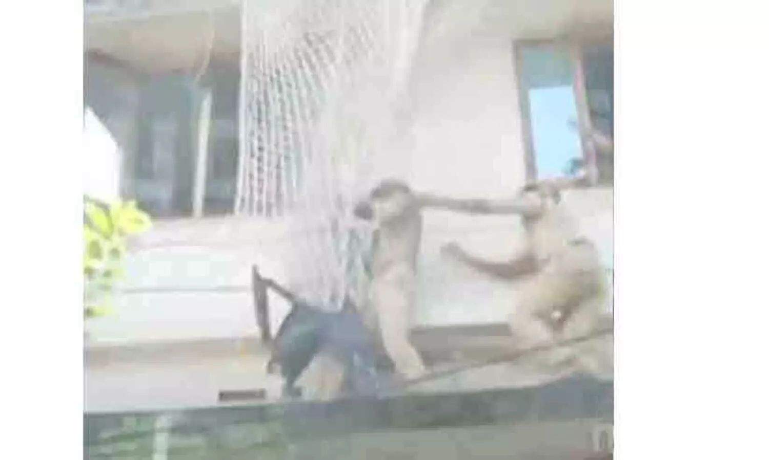 കെട്ടിടത്തിന് മുകളിൽ കയറി ആത്മഹത്യാഭീഷണി; വലയിട്ടുപിടിച്ച് രക്ഷാപ്രവർത്തനം