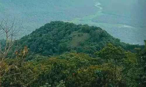 ന​മ്പി​കു​ളം-​കാ​റ്റു​ള്ള​മ​ല ടൂ​റി​സം വി​ക​സ​ന പ​ദ്ധ​തി പ്ര​വൃ​ത്തി പു​ന​രാ​രം​ഭി​ച്ചു