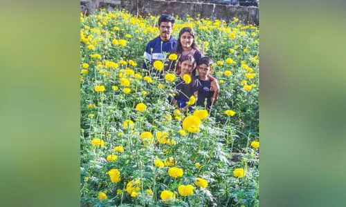 കുട്ടമശ്ശേരിയുടെ പൂന്തോട്ടം നാടിന് വർണപ്പൊലിമയേകും