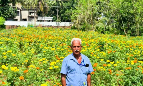 കൃ​ഷി​ വൈ​വി​ധ്യ പ​രീ​ക്ഷ​ണ​വു​മാ​യി സി.​കെ. ഇ​ബ്രാ​ഹിം