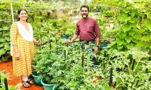 ‘ഓണത്തിനൊരു മുറം പച്ചക്കറി’; ആത്മസംതൃപ്തിയിൽ ഉപജ്ഞാതാവ്​