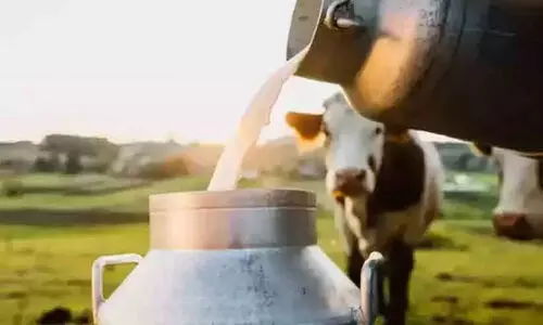 സഹകരണ സംഘങ്ങളിൽ പാല്‍ വിലയിൽ കൊള്ള