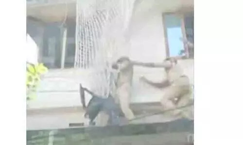 കെട്ടിടത്തിന് മുകളിൽ കയറി ആത്മഹത്യാഭീഷണി; വലയിട്ടുപിടിച്ച് രക്ഷാപ്രവർത്തനം