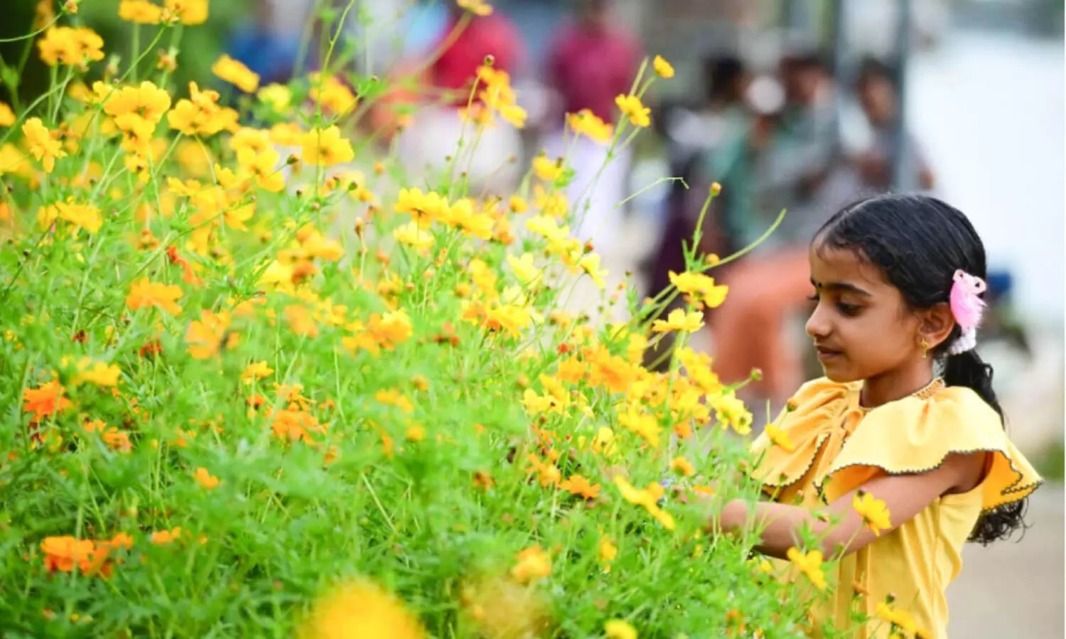 പൂവിളിയായി; നാട്​ ഓണപ്പൊലിമയിലേക്ക്​