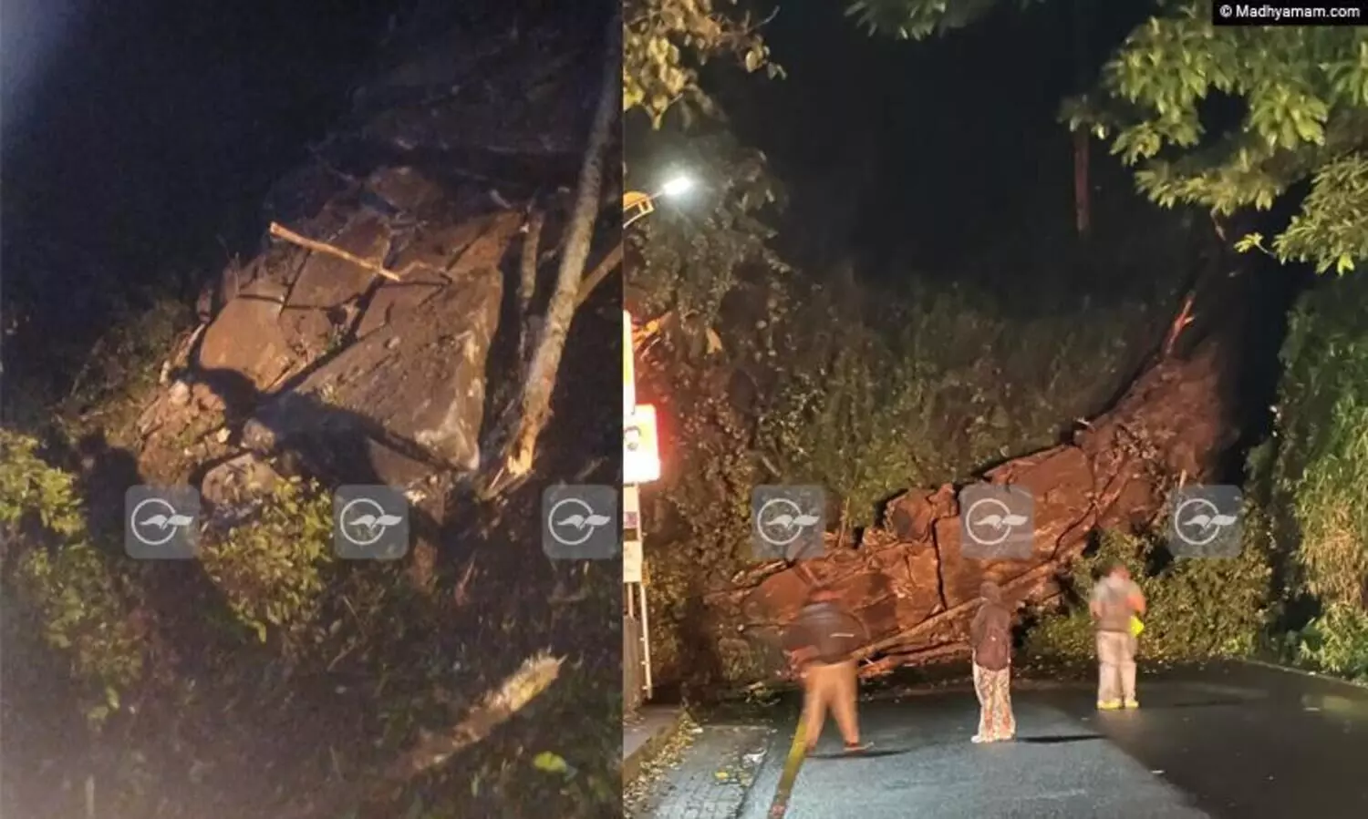 താമരശ്ശേരി ചുരത്തിൽ മണ്ണിടിഞ്ഞു; ഗതാഗതം നിലച്ചു