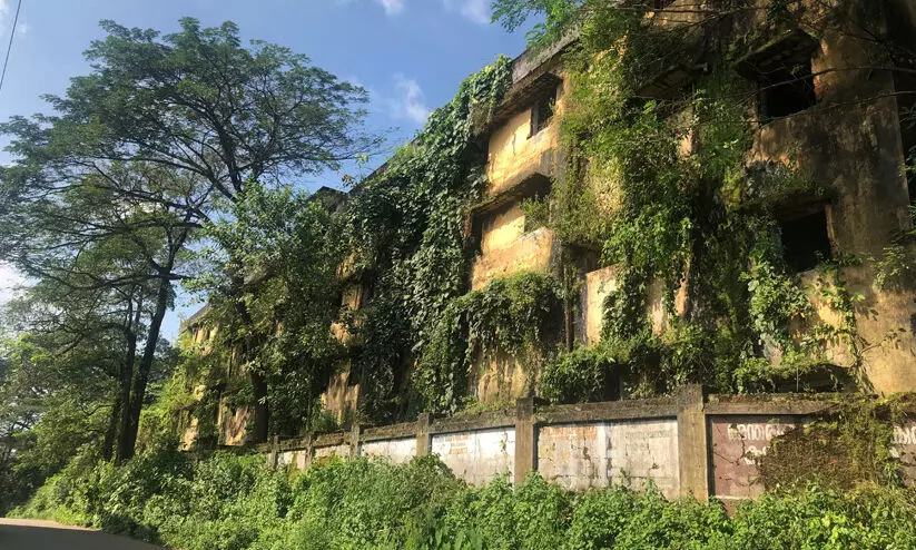 mavoor grasim factory