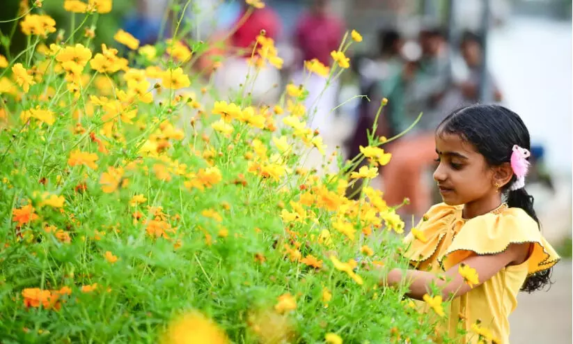 പൂവിളിയായി; നാട്​ ഓണപ്പൊലിമയിലേക്ക്​