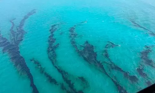 സ​മു​ദ്ര മ​ലി​നീ​ക​ര​ണം; ആ​റു മാ​സം ത​ട​വും 200,000 ദീ​നാ​ർ പി​ഴ​യും