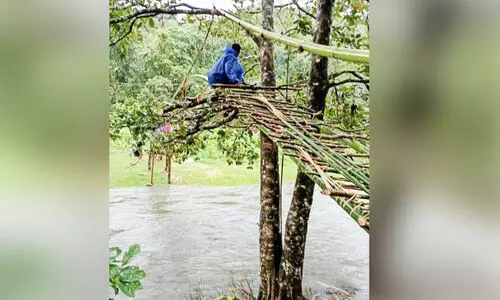 ഗതിമുട്ടിയ ജീവിതങ്ങൾ