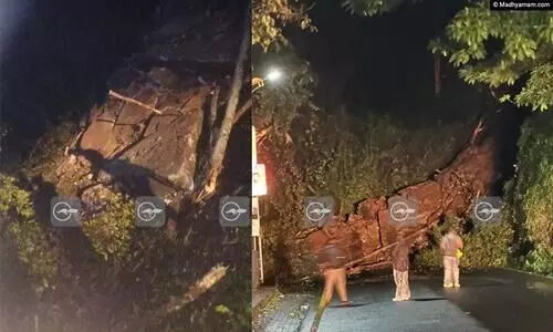 താമരശ്ശേരി ചുരത്തിൽ മണ്ണിടിഞ്ഞു; ഗതാഗതം നിലച്ചു