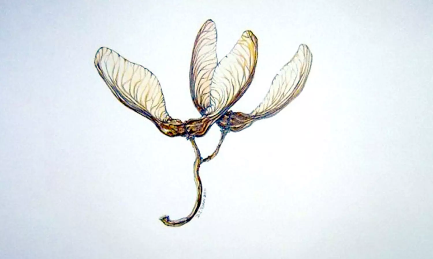 ര​ണ്ട് ക​വി​ത​ക​ൾ