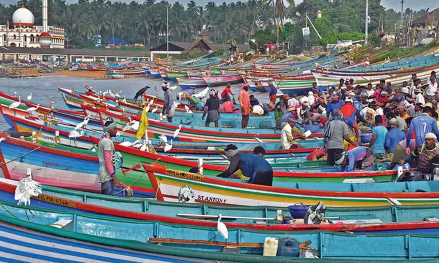 കേരളത്തിൽ സമുദ്ര മത്സ്യബന്ധനത്തിന് പോകുന്നവരിൽ 58 ശതമാനവും അന്തർസംസ്ഥാന തൊഴിലാളികൾ