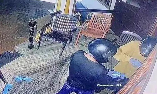 Thieves were caught on camera