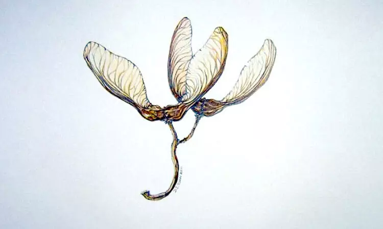 ര​ണ്ട് ക​വി​ത​ക​ൾ