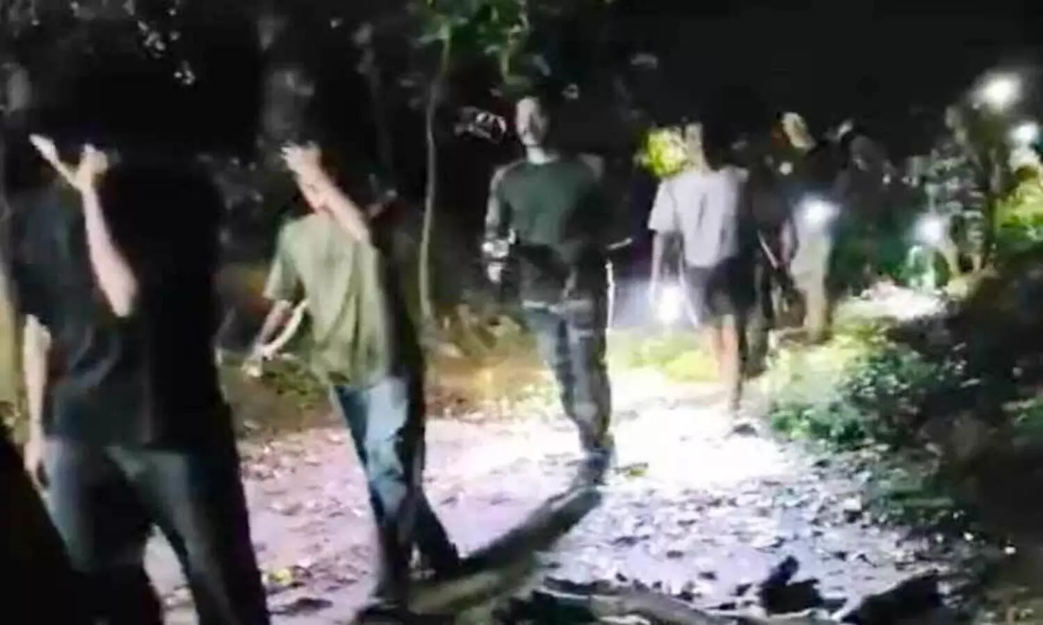 ഫ്ളാഷ് ലൈറ്റ്, കൂക്കിവിളി; ഒടുവിൽ കല്ലൻപാറ വനമേഖലയിൽ കുടുങ്ങിയ വിദ്യാർഥികളെ തിരിച്ചിറക്കി