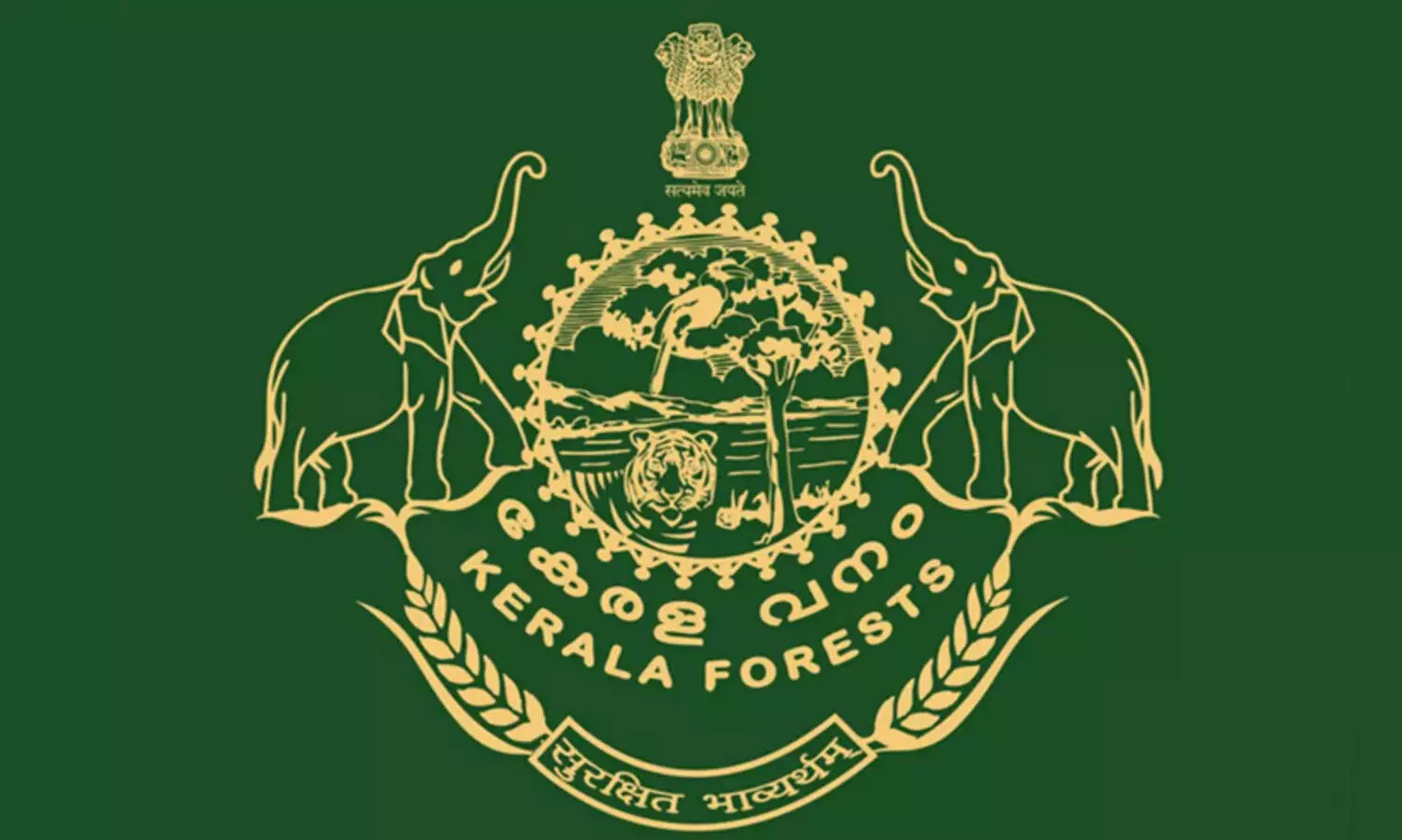 മനുഷ്യ-വന്യജീവി സംഘർഷം കുറക്കാൻ 45 ദിവസത്തെ തീവ്രയജ്ഞം