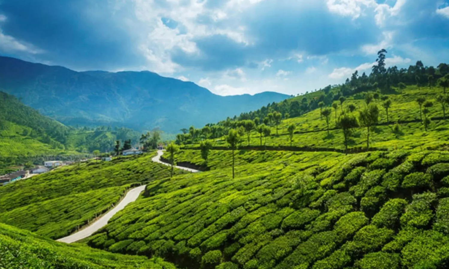 ഭൂപതിവ് ഭേദഗതി ചട്ടം; പ്രതീക്ഷയോടെ മലയോരം