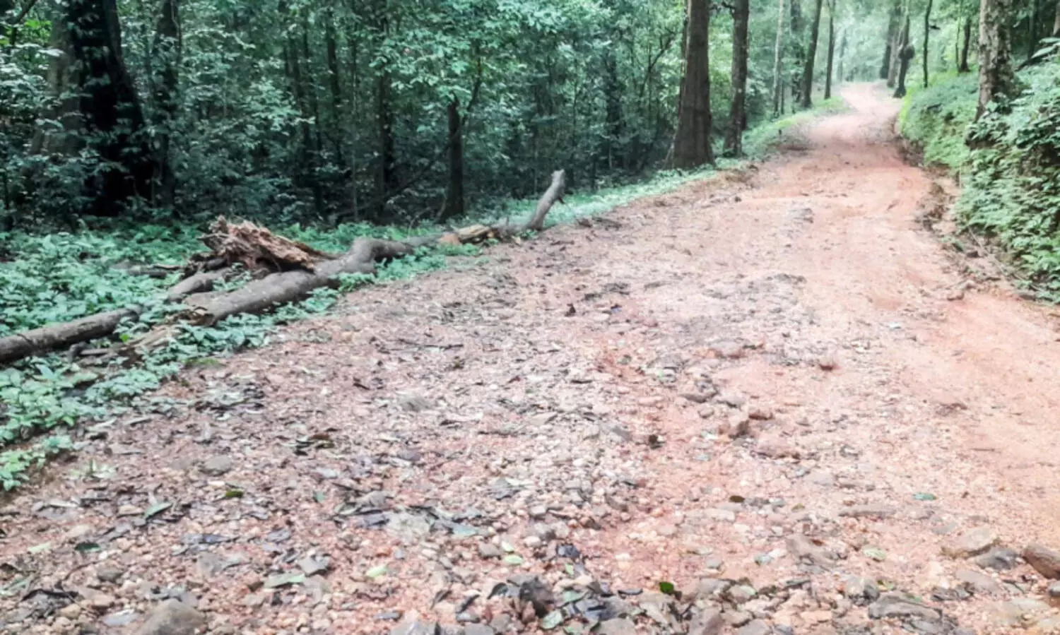 The road to Makkuvally