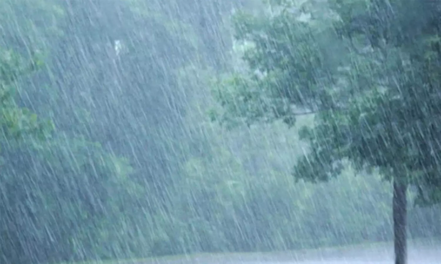 തി​മി​ർ​ത്ത് മ​ഴ; ഓ​ണ വി​പ​ണി​യെ ബാ​ധി​ക്കു​മെ​ന്ന് ആ​ശ​ങ്ക