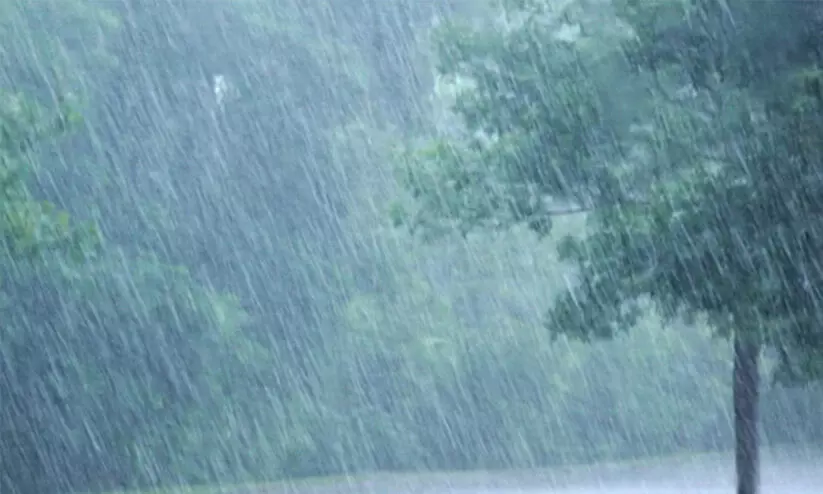 തിമിർത്ത് മഴ; ഓണ വിപണിയെ ബാധിക്കുമെന്ന് ആശങ്ക തിമിർത്ത് മഴ; ഓണ വിപണിയെ ബാധിക്കുമെന്ന് ആശങ്ക