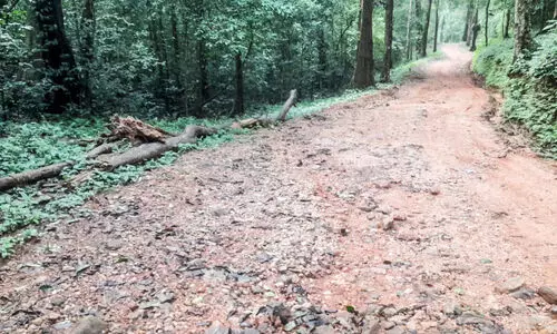 The road to Makkuvally