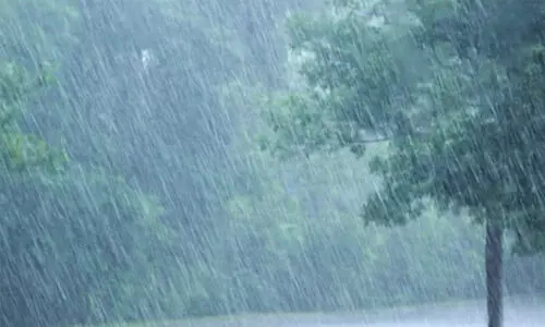 തി​മി​ർ​ത്ത് മ​ഴ; ഓ​ണ വി​പ​ണി​യെ ബാ​ധി​ക്കു​മെ​ന്ന് ആ​ശ​ങ്ക