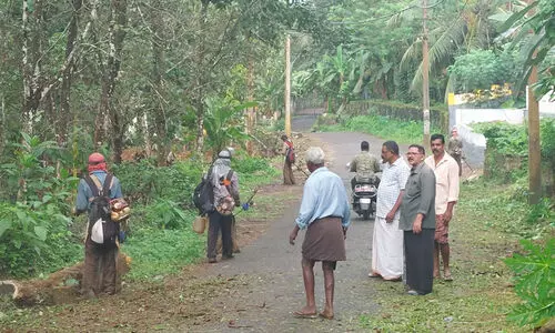 നടപടിയെടുക്കാതെ അധികൃതർ; റോഡിലെ കാടുവെട്ടി മാതൃകയായി നാട്ടുകാർ