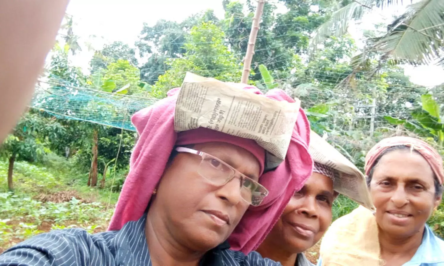 പച്ചക്കറി കൃഷിയിൽ  മൂവർസംഘത്തി​ന്‍റെ വിജയഗാഥ